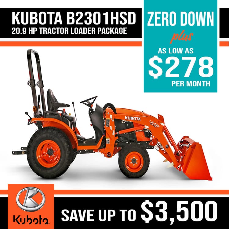 Kubota B2301 and loader
